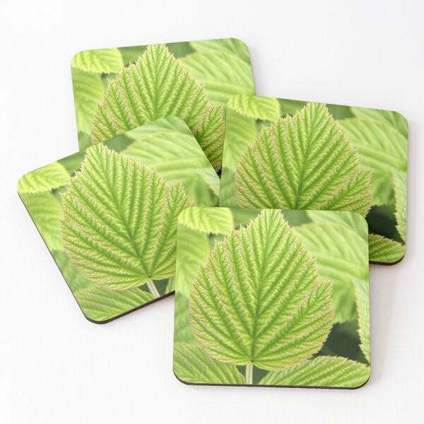 Item preview, Raspberry Leaf Art designed and sold by coffeebean.