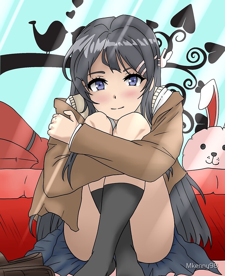 Seishun Buta Yarou wa Bunny Girl Senpai no Yume wo Minai Characters Anime  Design