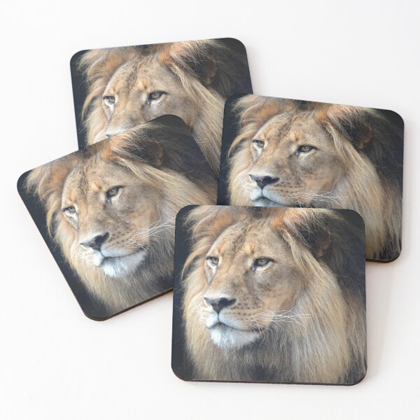 Item preview, Male African Lion designed and sold by wazoosi.