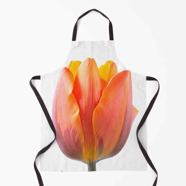 Aperçu de l'œuvre  Assemblée générale de Tulipa 'Prinses Irene' Tulip Triumph Group créée et vendue par Chris Burrows.