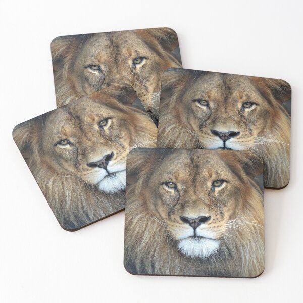 Item preview, Male Lion designed and sold by wazoosi.