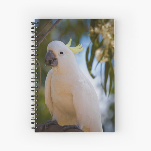 Item preview, Sulphur crested cockatoo  designed and sold by MargsNaturePix.