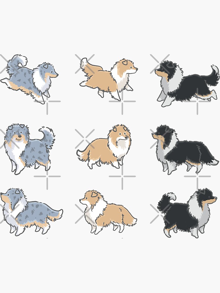 The Rough Collie Pack by elspethrose