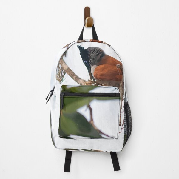 Artikelvorschau, Paradise Flycatcher - Wildes Leben entworfen und verkauft von chamsham2020.