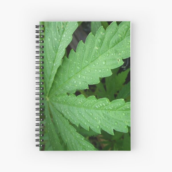 MaryJane Spiral Notebook