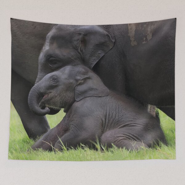 Item preview, Elephant - Wild Life designed and sold by chamsham2020.