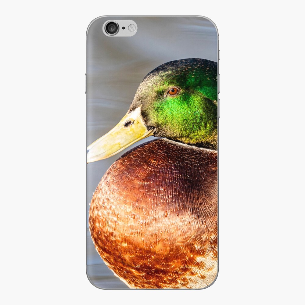 Item preview, iPhone Skin designed and sold by AYatesPhoto.