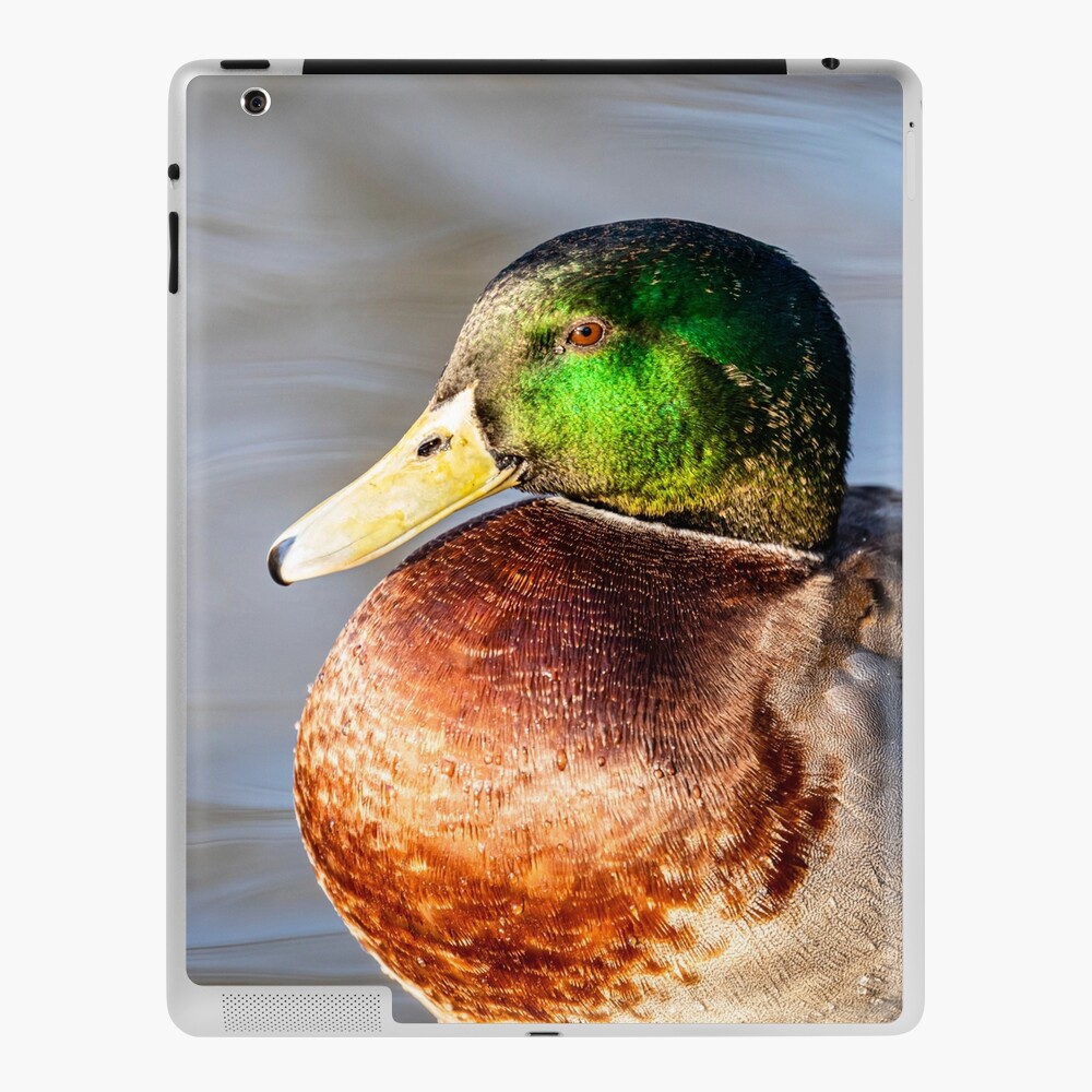 Item preview, iPad Skin designed and sold by AYatesPhoto.