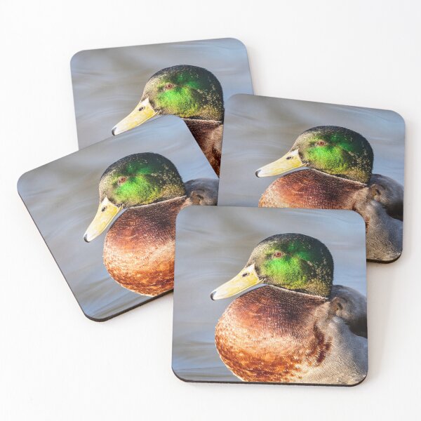 Item preview, Peaceful mallard designed and sold by AYatesPhoto.