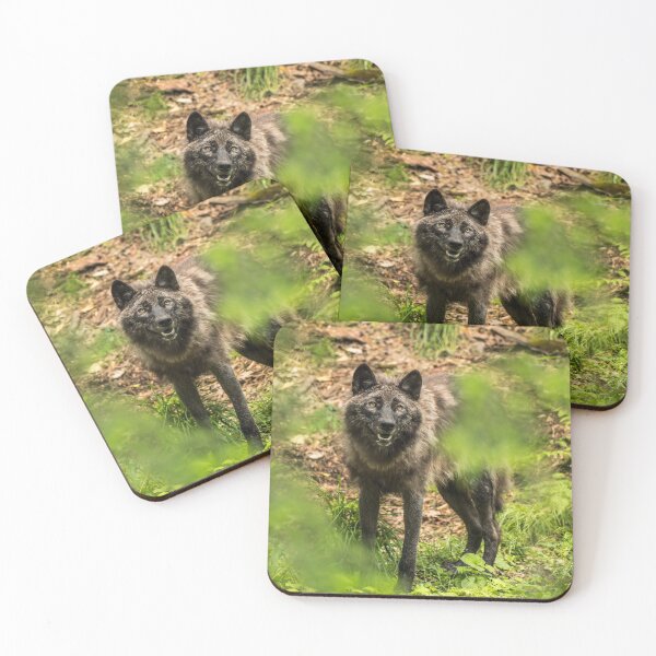 Item preview, Black Wolf In Forest designed and sold by WolvesOnly.