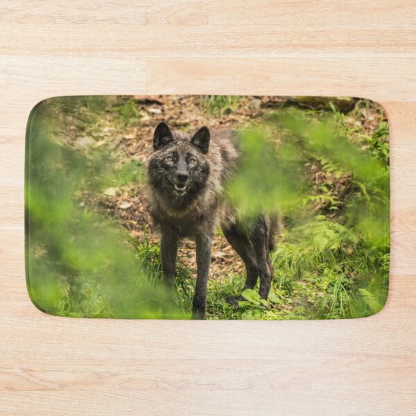 Item preview, Black Wolf In Forest designed and sold by WolvesOnly.