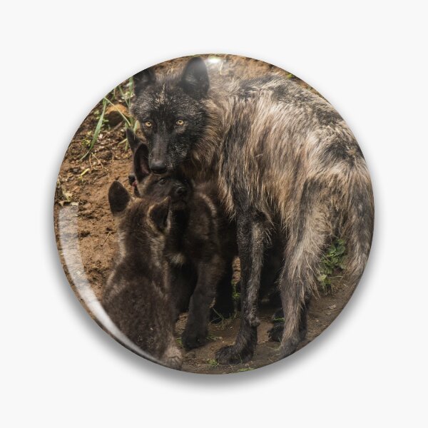 Item preview, Black Wolf With Pups designed and sold by WolvesOnly.