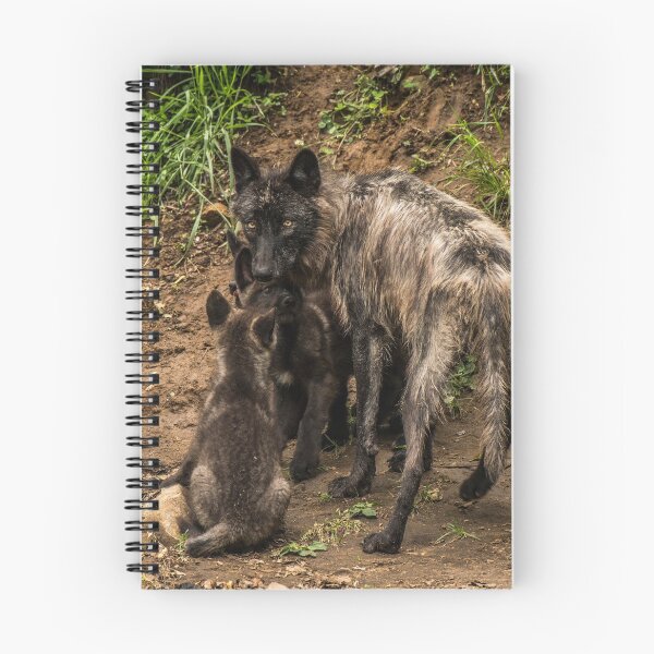 Item preview, Black Wolf With Pups designed and sold by WolvesOnly.