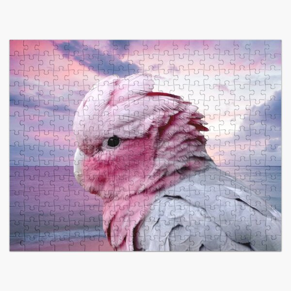 Artikel-Vorschau von Papagei Galah Kakadu, designt und verkauft von Erika Kaisersot.