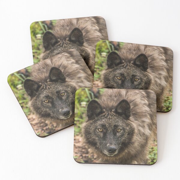 Item preview, Black Wolf designed and sold by WolvesOnly.
