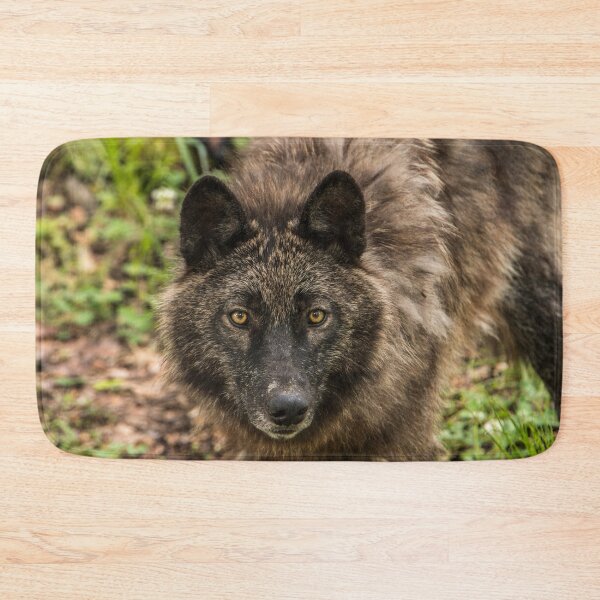 Item preview, Black Wolf designed and sold by WolvesOnly.
