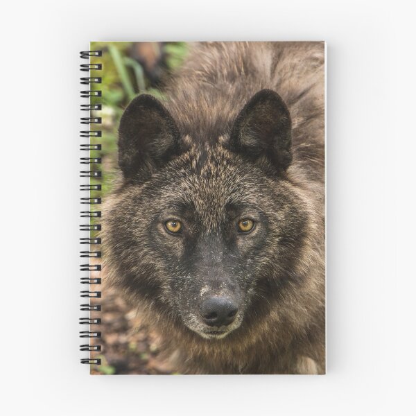 Item preview, Black Wolf designed and sold by WolvesOnly.