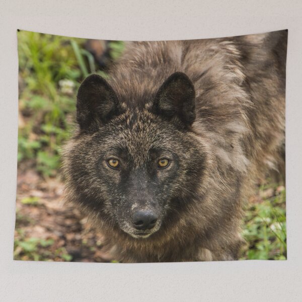 Item preview, Black Wolf designed and sold by WolvesOnly.