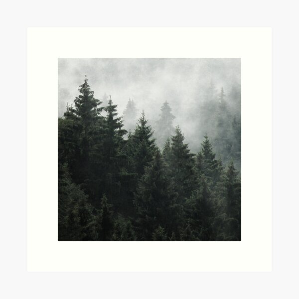 Item preview, Waiting For // Misty Foggy Fairytale Forest With Cascadia Trees Covered In Magic Fog designed and sold by Tordis Kayma.