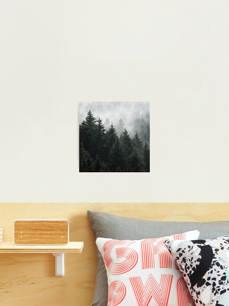 Thumbnail 2 of 3, Photographic Print, Waiting For // Misty Foggy Fairytale Forest With Cascadia Trees Covered In Magic Fog designed and sold by tekay.