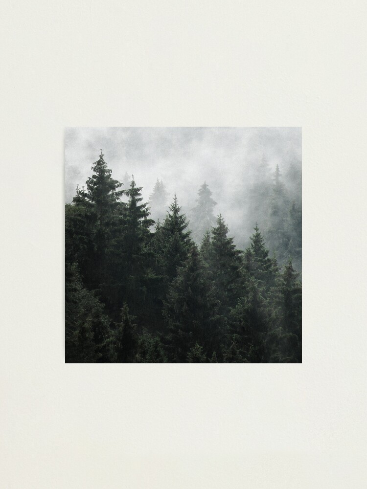 Alternate view of Waiting For Photographic Print