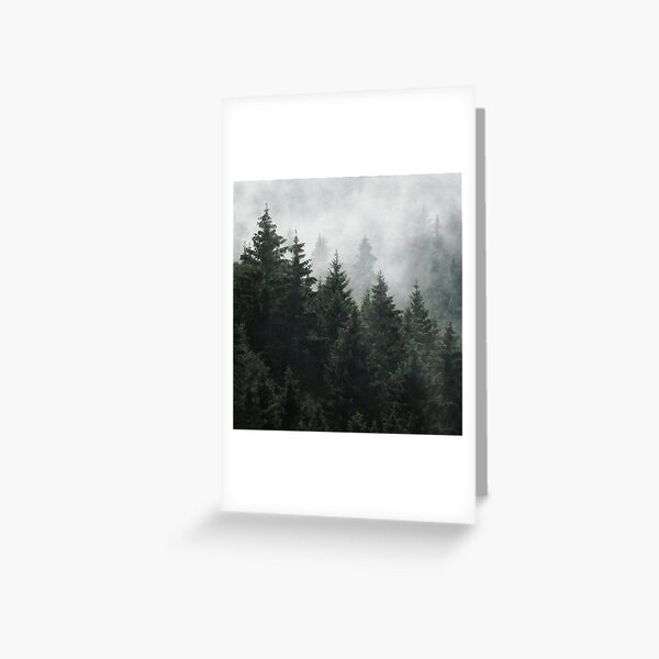 Waiting For // Misty Foggy Fairytale Forest With Cascadia Trees Covered In Magic Fog Greeting Card