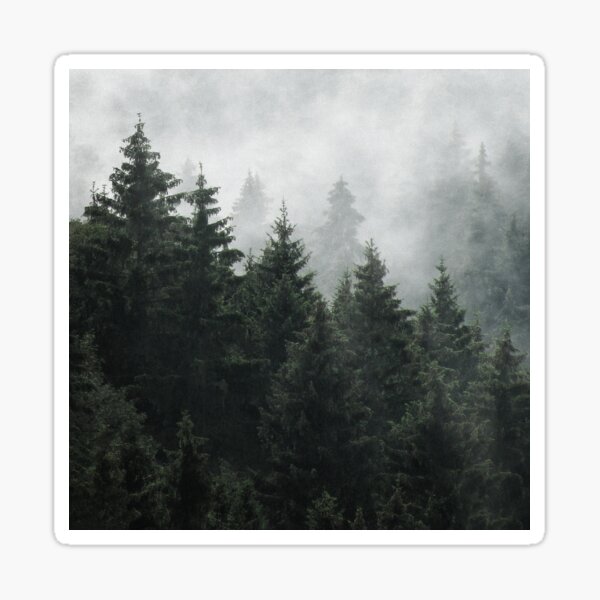Item preview, Waiting For // Misty Foggy Fairytale Forest With Cascadia Trees Covered In Magic Fog designed and sold by Tordis Kayma.