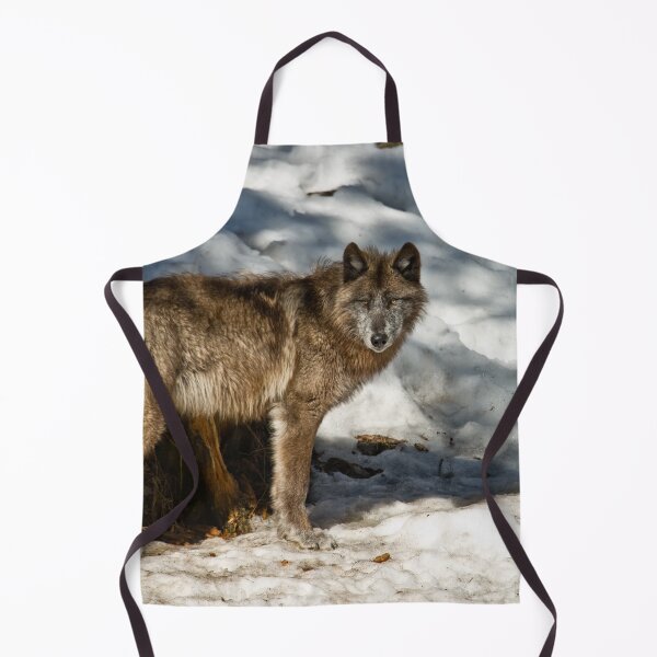 Item preview, Black Wolf In Snow designed and sold by WolvesOnly.