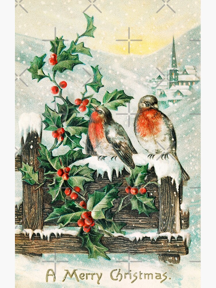 Robin Vintage Art | Greeting Card Robin Vintage Art | Greeting Card