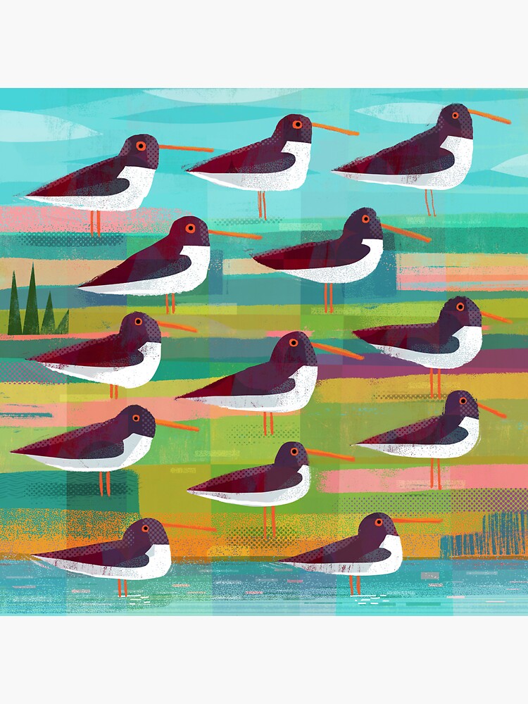 "Oystercatchers" Sticker by gklucas Redbubble