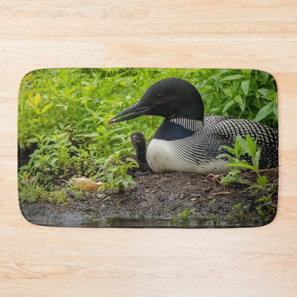 Item preview, Nesting Loons 6 designed and sold by Loon-Images.