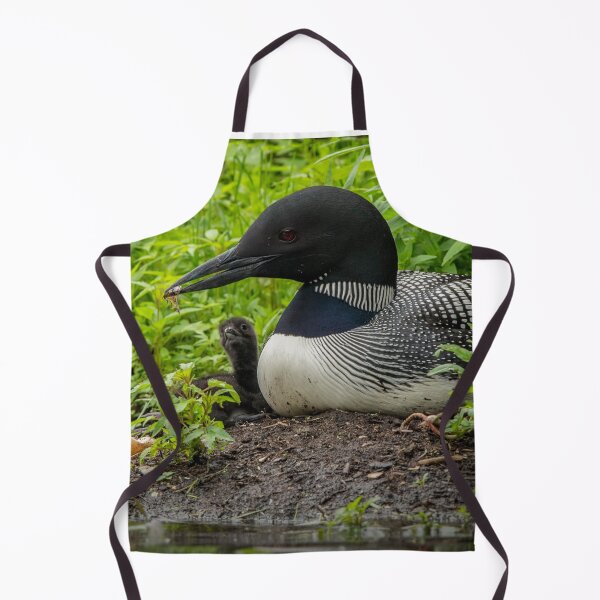 Item preview, Nesting Loons 6 designed and sold by Loon-Images.