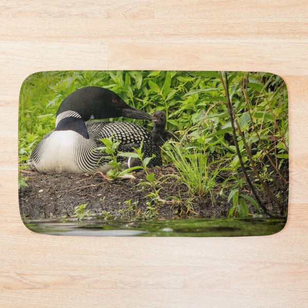 Item preview, Nesting Loons 5 designed and sold by Loon-Images.