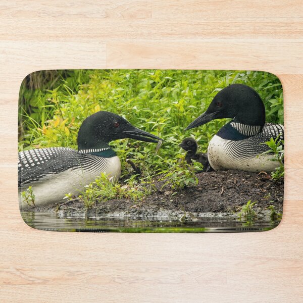 Item preview, Nesting Loons 2 designed and sold by Loon-Images.