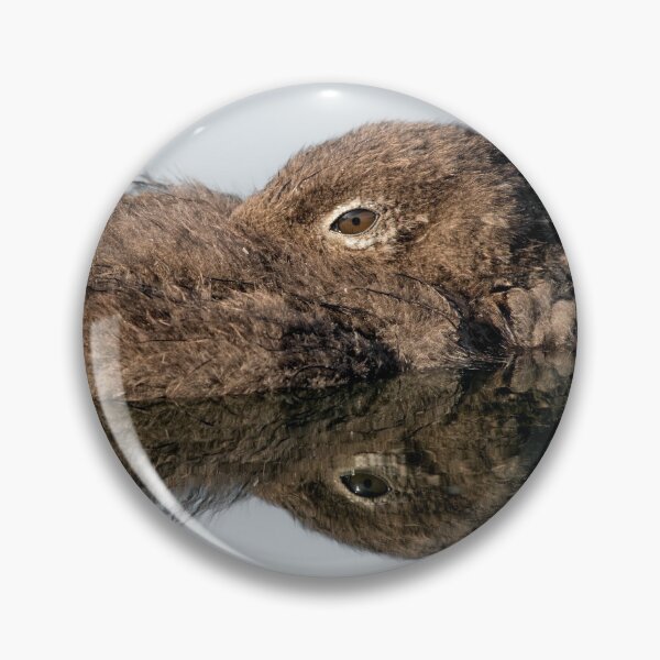 Item preview, Loon Chick 12 designed and sold by Loon-Images.