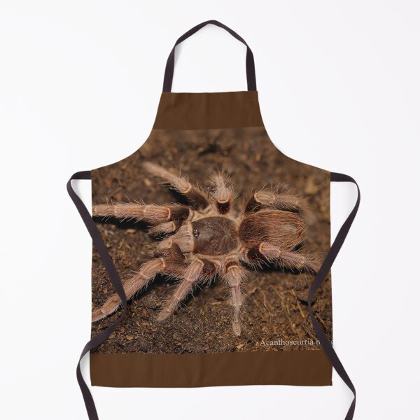 Item preview, Acathoscurria musculosa designed and sold by Spidergirl.