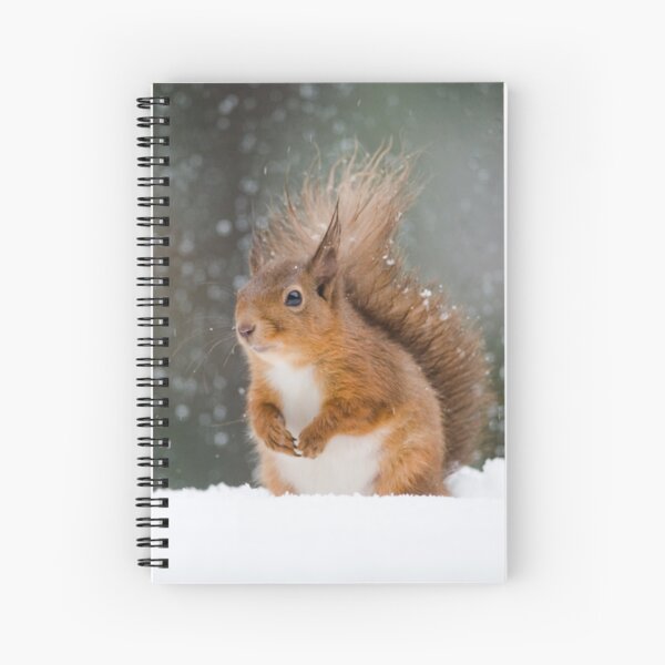 Item preview, Cute Red Squirrel designed and sold by Nigel Tinlin.