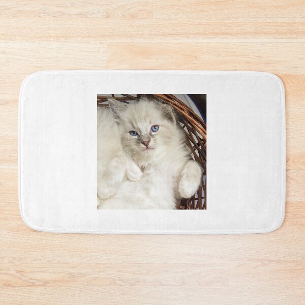 Item preview, Ragdoll kitten designed and sold by Fluffycat2020.