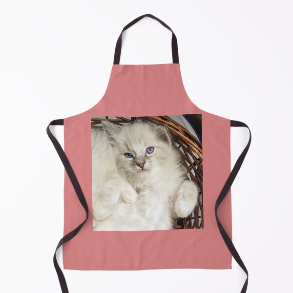 Item preview, Ragdoll kitten designed and sold by Fluffycat2020.
