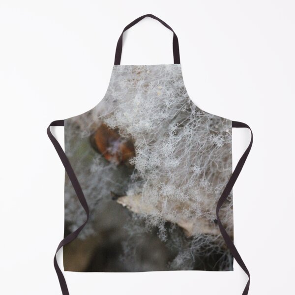 Item preview, Fungi on a fungus designed and sold by cuprum.