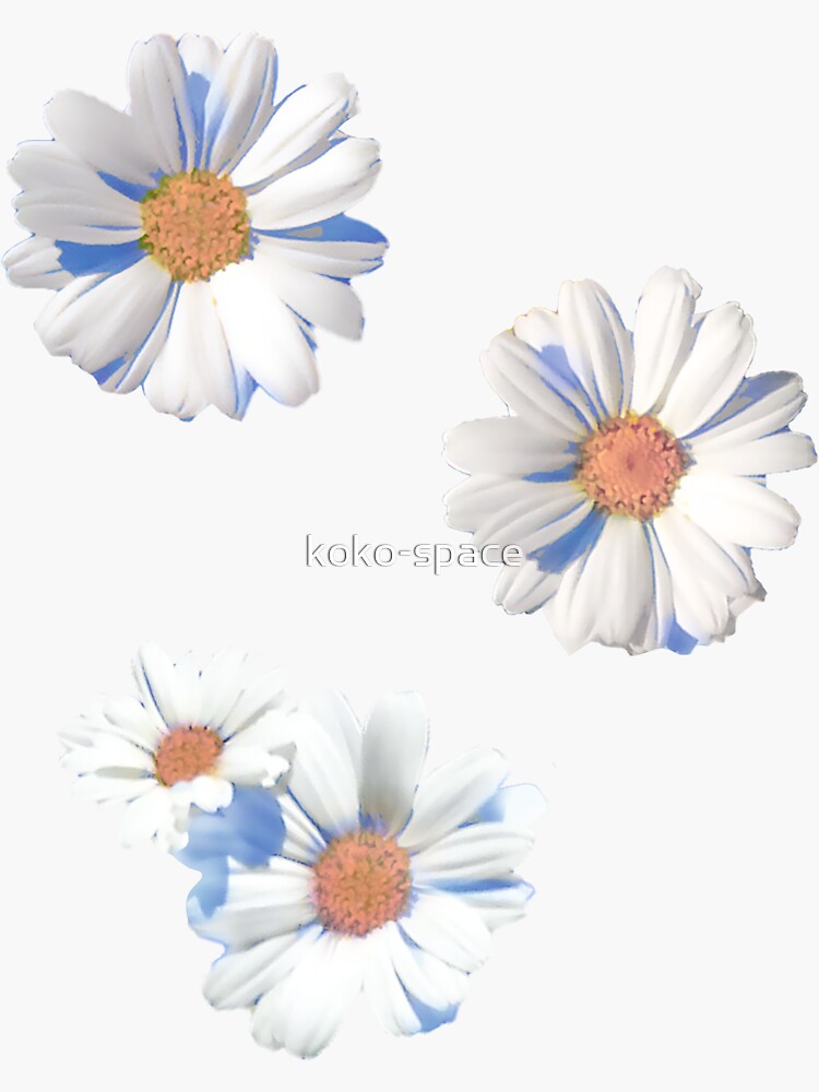 daisies aesthetic pack Sticker for Sale by koko-space