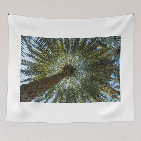 Item preview, Palm tree leaves designed and sold by AlizadaStudios.