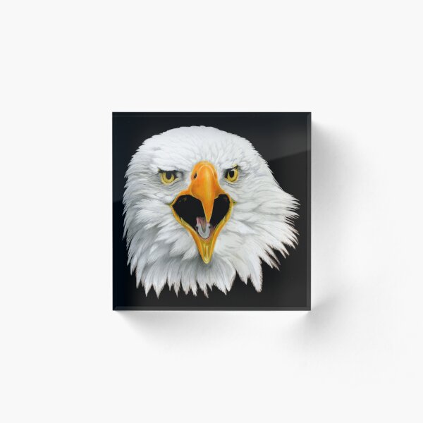 Bald Eagle Acrylic Block