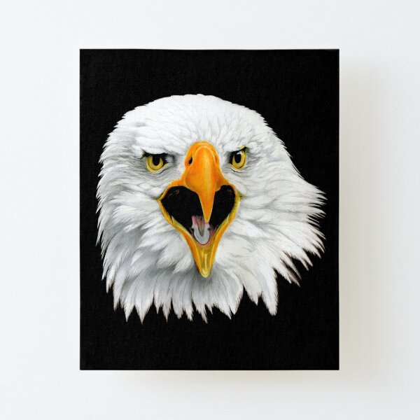 Bald Eagle Canvas Mounted Print