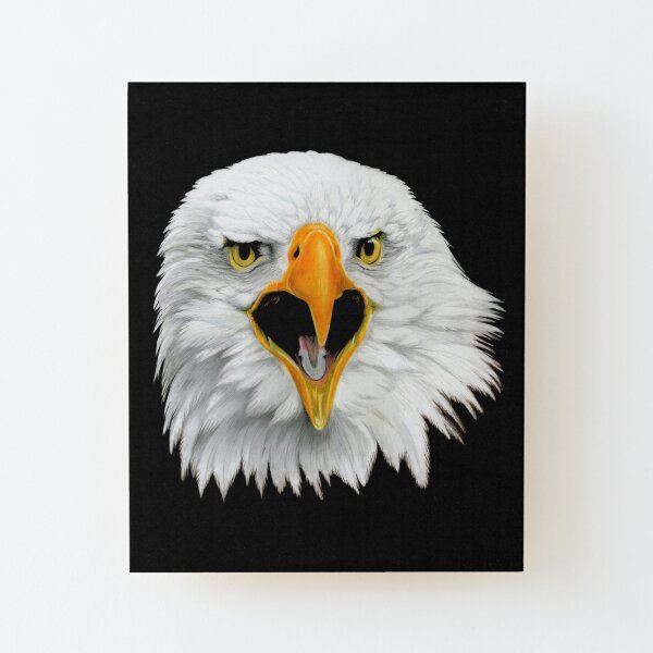 Bald Eagle Wood Mounted Print