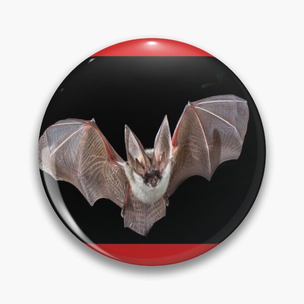 Item preview, bat designed and sold by Luci3120.