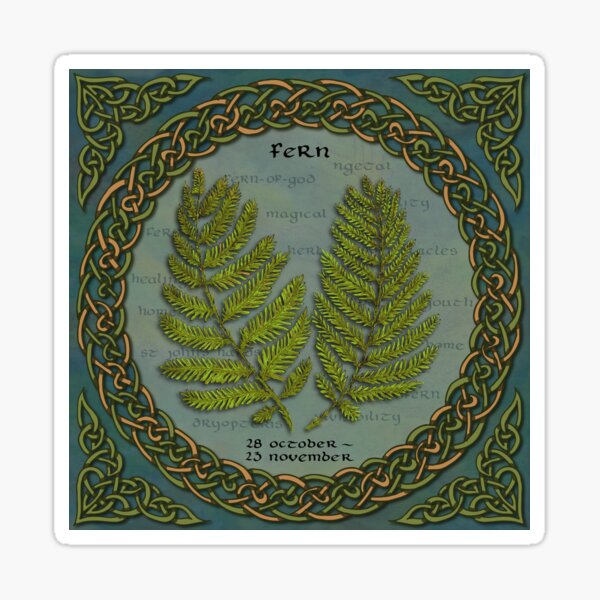 Celtic Tree Calendar Ferns Sticker