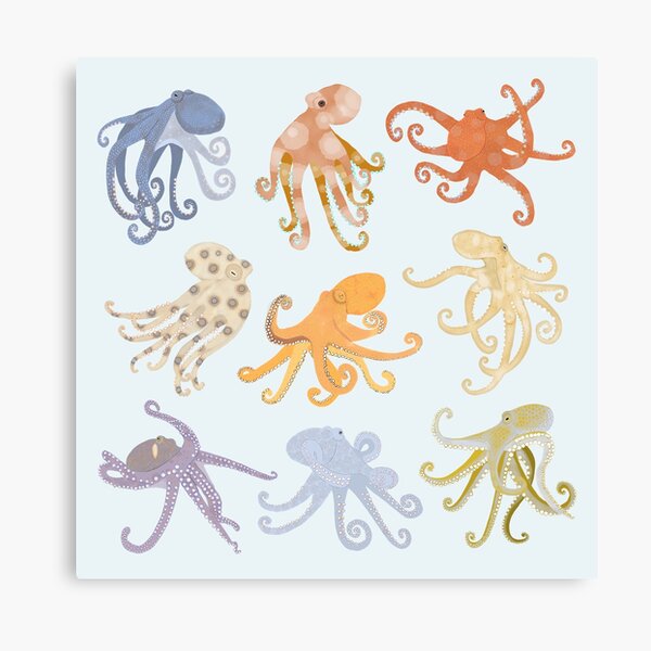 Item preview, Octopuses designed and sold by Amy Hadden.