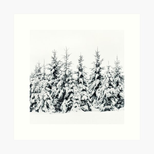 Aperçu de l'œuvre Snow Porn // Misty Moody Foggy Milky Winter Wonderland Forest With Cascadia Trees Covered In Magic Fog créée et vendue par Tordis Kayma.