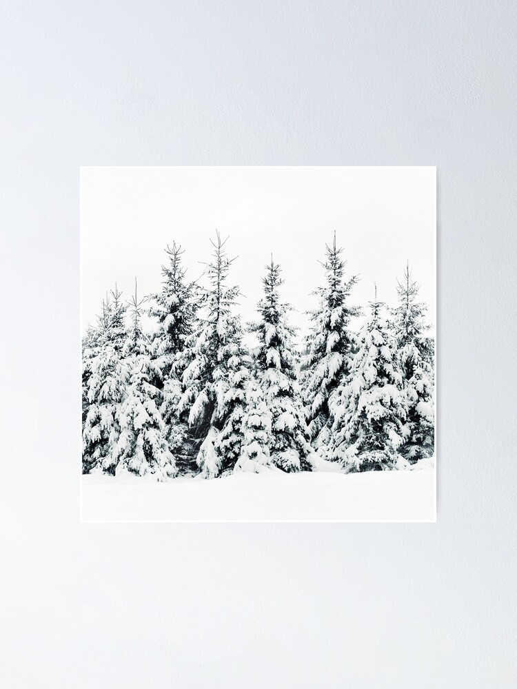 Snow Porn Poster for Sale by Tordis Kayma Redbubble 